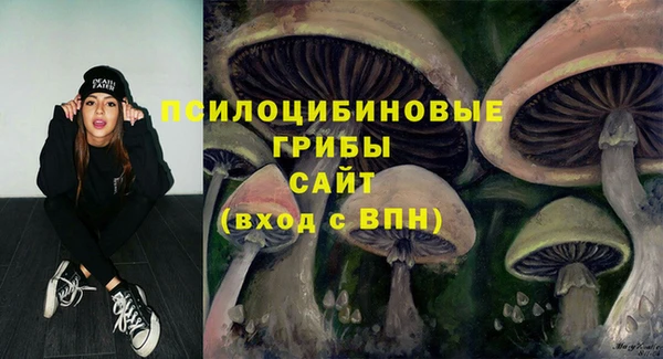 марки lsd Белокуриха