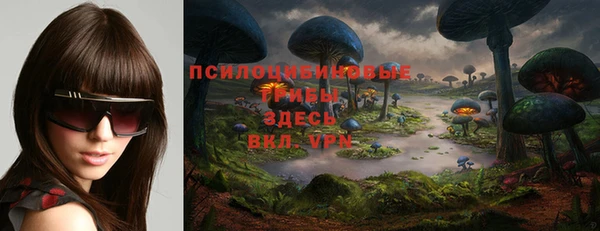а пвп мука Мегион