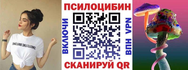 Купить где  Асино  Галлюциногенные грибы Magic Shrooms 
